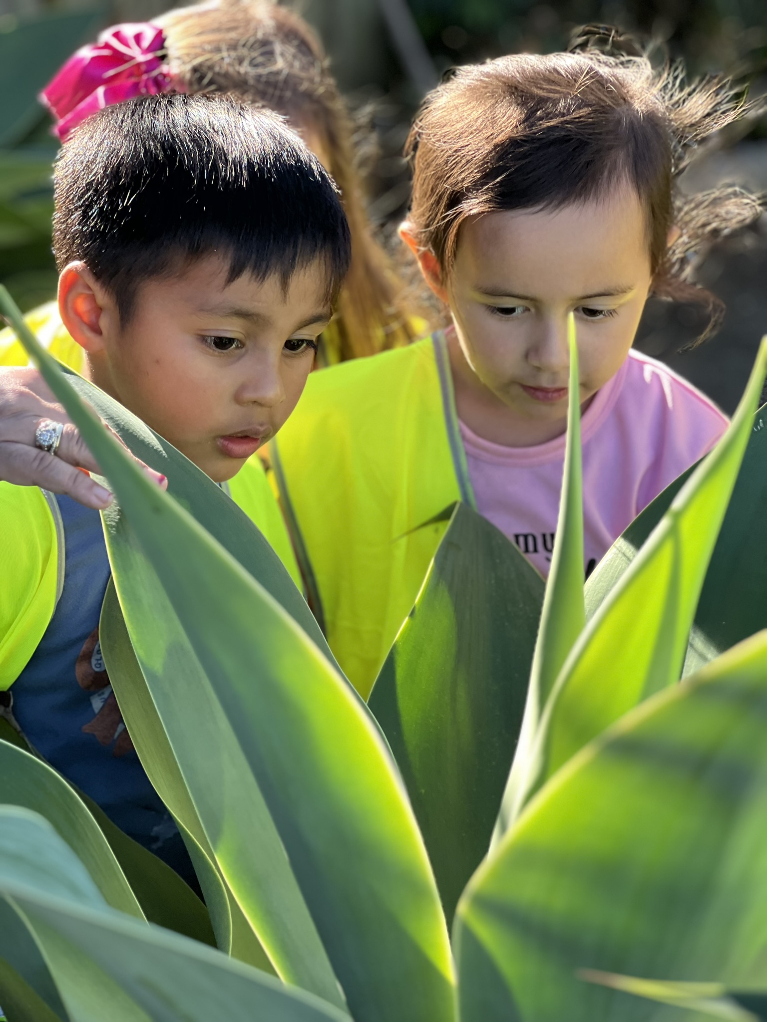Children enjoying daily life at Koru Kids