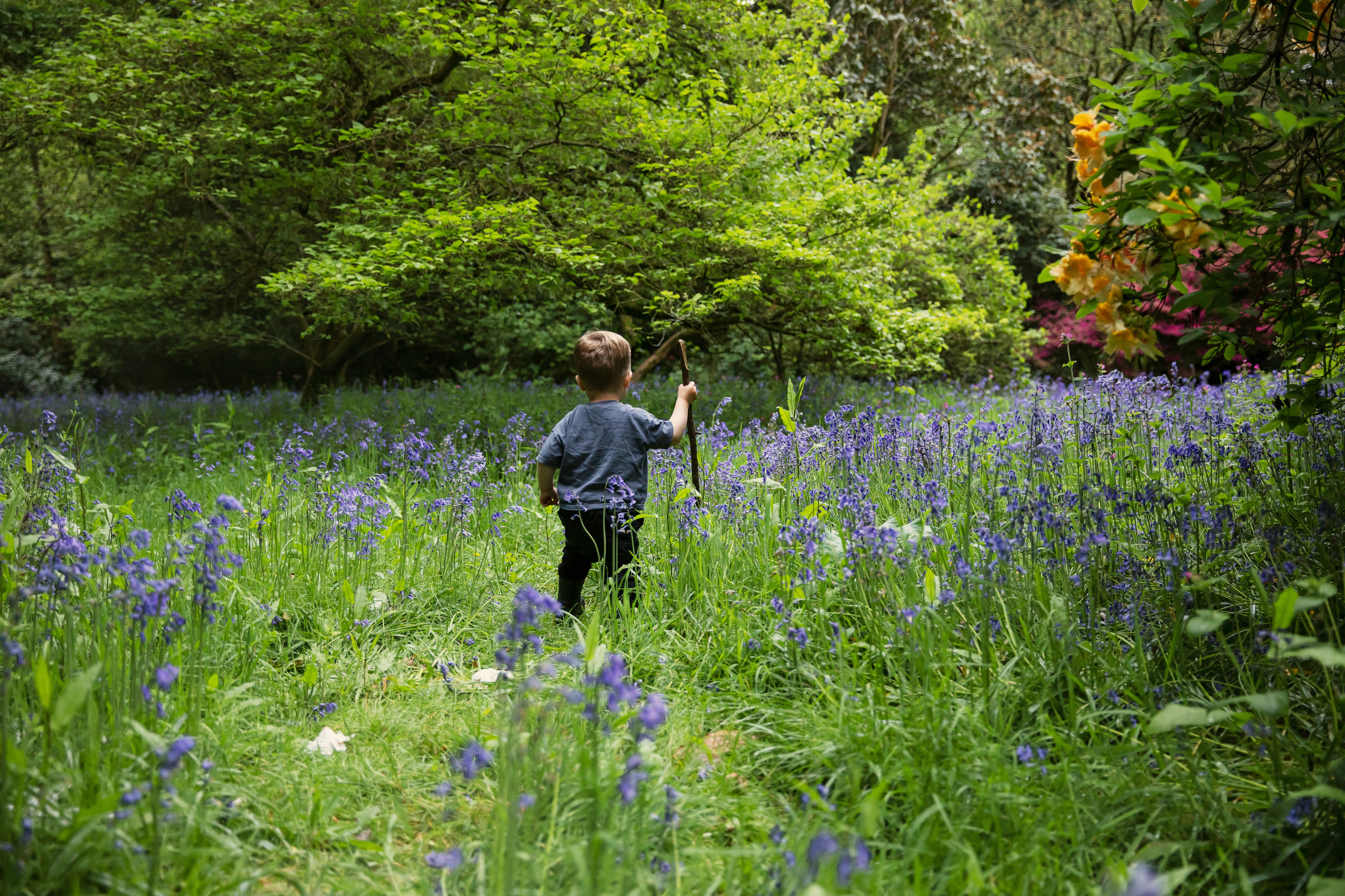 Children engaging with natural materials and exploring outdoors